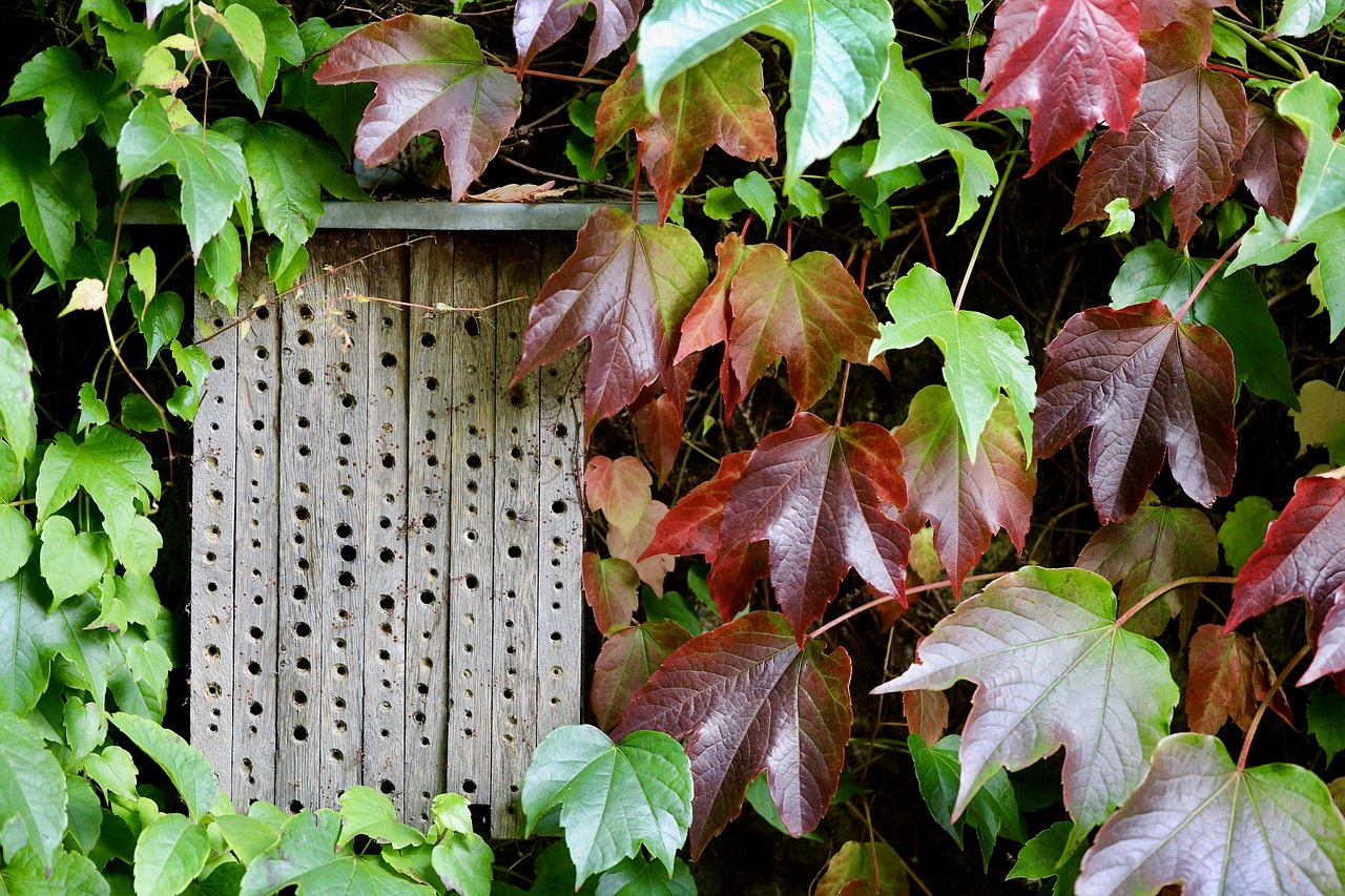 insectes dans la maison : comment les identifier et s&rsquo;en débarrasser efficacement