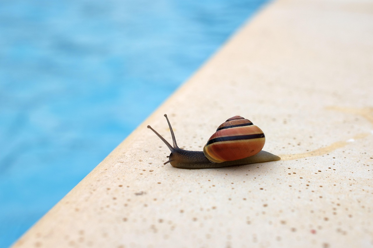 découvrez les prix des coques de piscine en 2026 et trouvez la solution idéale pour votre projet de piscine. comparaison des tarifs, conseils et tendances du marché.
