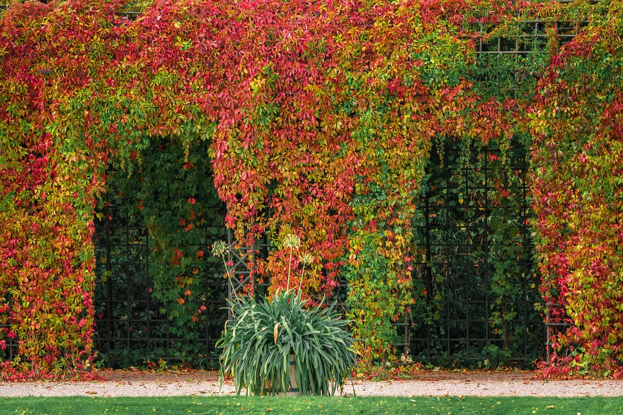 découvrez l'idéal pergola pour sublimer votre espace extérieur avec style et confort, alliant design élégant et matériaux de qualité.