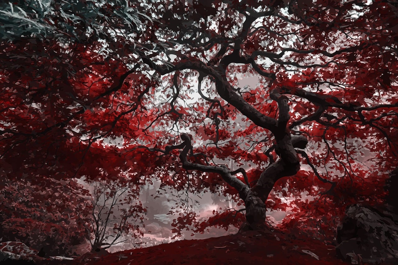 Comment choisir l&rsquo;arbre ombre idéal pour votre jardin