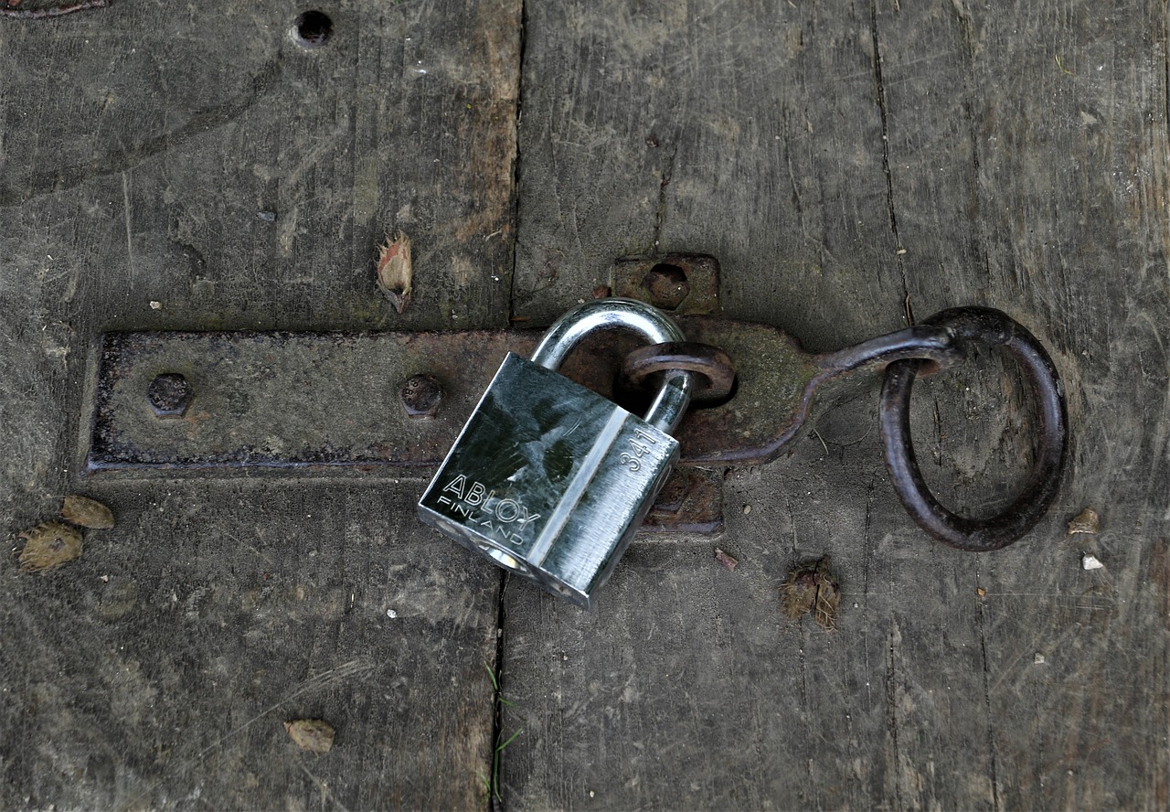 porte de sécurité robuste et fiable, conçue pour protéger efficacement votre habitation ou votre local professionnel contre les intrusions.